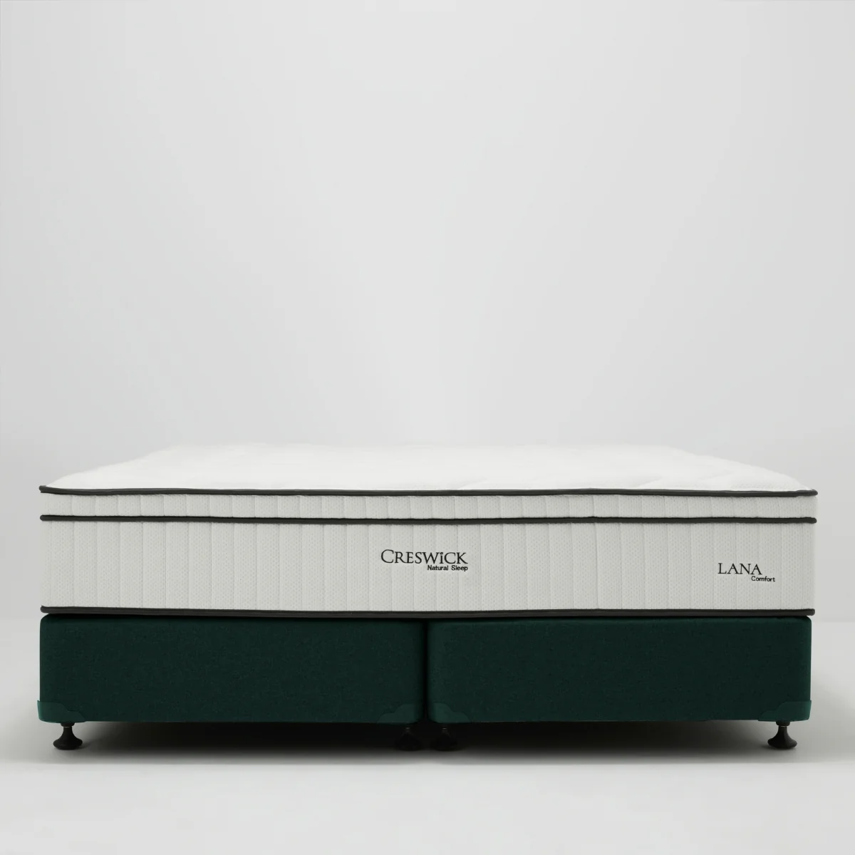Base Twin Ovis - Image 23