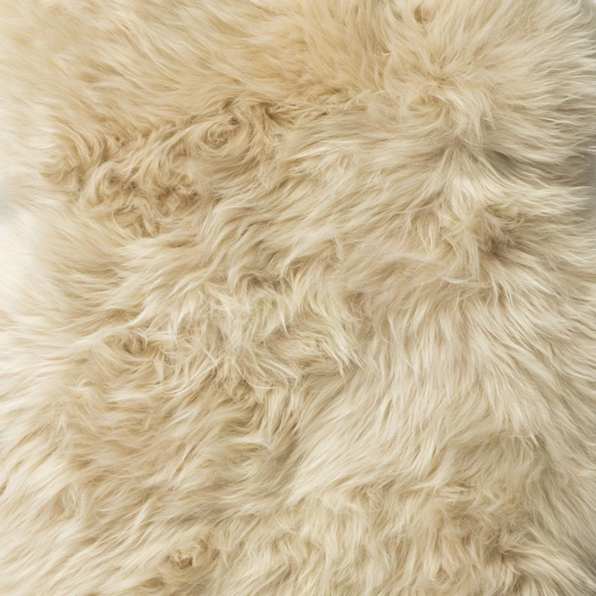 Longwool Sheepskin Rug - 100cm - Image 15