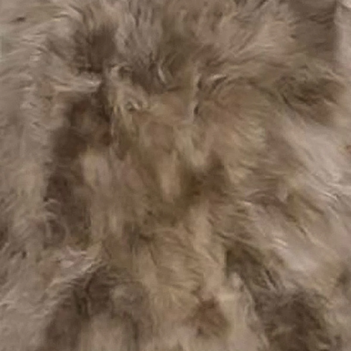 Longwool Sheepskin Rug - 100cm - Image 27